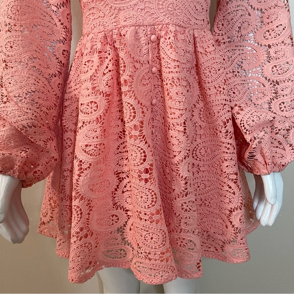 Blush pink V-neck floral crochet lace long sleeve mini dress - Picture 4 of 8
